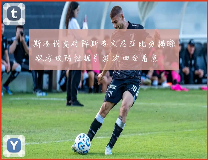 斯洛伐克对阵斯洛文尼亚比分揭晓 双方攻防拉锯引发次回合看点
